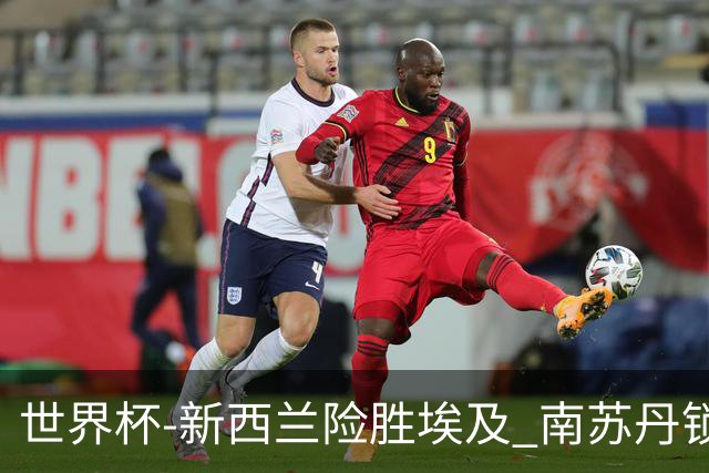 世界杯-新西兰险胜埃及 南苏丹锁定奥运创历史