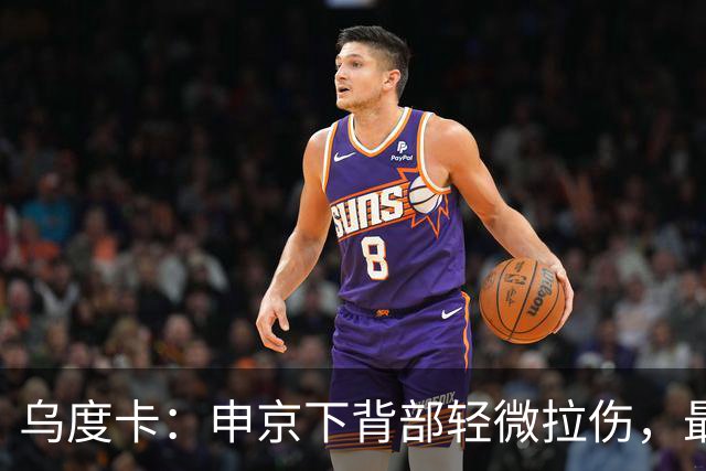 乌度卡：申京下背部轻微拉伤，最多缺席几场