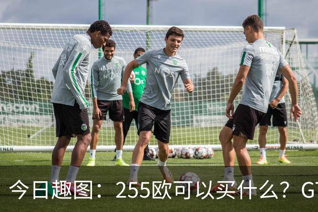 今日趣图：255欧可以买什么？GTA6，航母模型还是一箱养乐多？