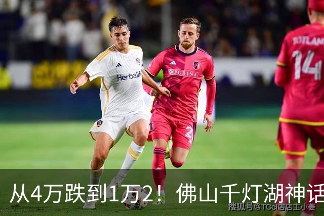 从4万跌到1万2！佛山千灯湖神话破灭，掏空家底的广州客亏惨了