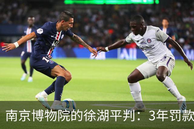 南京博物院的徐湖平判：3年罚款加罚款20万，但有一点我想不明白