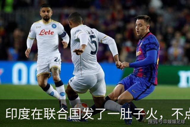 印度在联合国发了一肚子火，不点名怒斥美俄，替中国等国说出心声