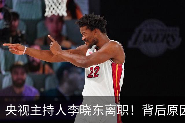 央视主持人李晓东离职！背后原因一言难尽，妻子不是孙小梅
