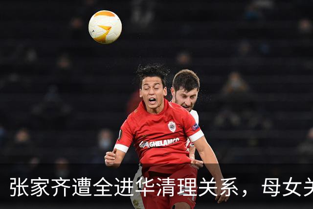 张家齐遭全进华清理关系，母女关系迎来反转，专业人士都解决不了