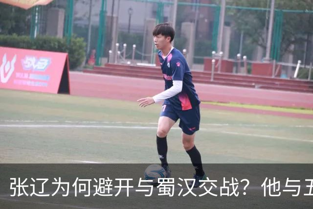 张辽为何避开与蜀汉交战？他与五虎大将单挑，能赢几人？