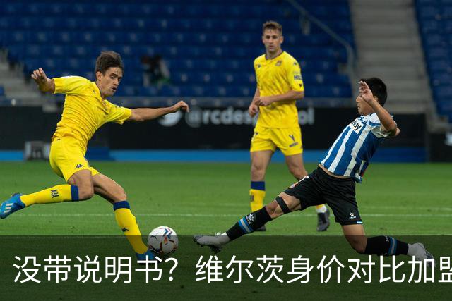 没带说明书？维尔茨身价对比加盟前15个月缩水5500万欧