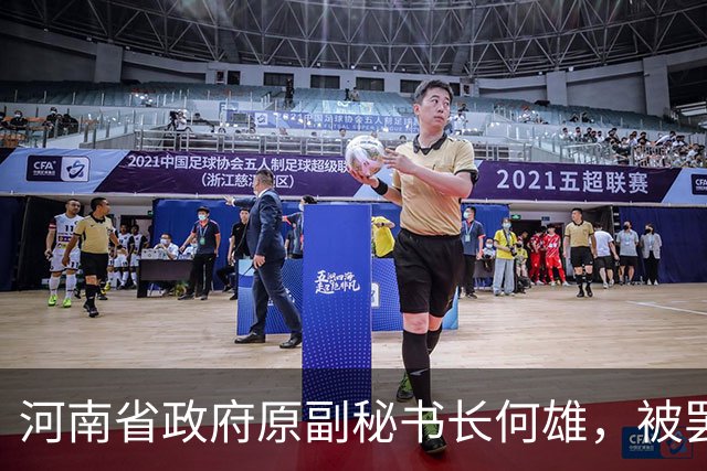 河南省政府原副秘书长何雄，被罢免省人大代表职务；曾任河南省建设厅副厅长、济源市委书记、濮阳市委书记、河南省发改委主任、郑州市市长