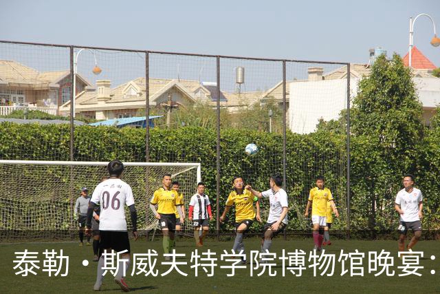 泰勒·斯威夫特学院博物馆晚宴：迪奥定制礼服与萧邦钻石