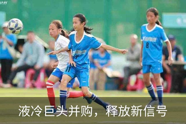 液冷巨头并购，释放新信号
