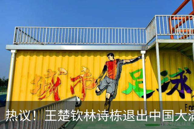 热议！王楚钦林诗栋退出中国大满贯，球迷反而声援孙颖莎：让她退赛