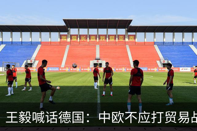 王毅喊话德国：中欧不应打贸易战，但德国汽车工会已经急了