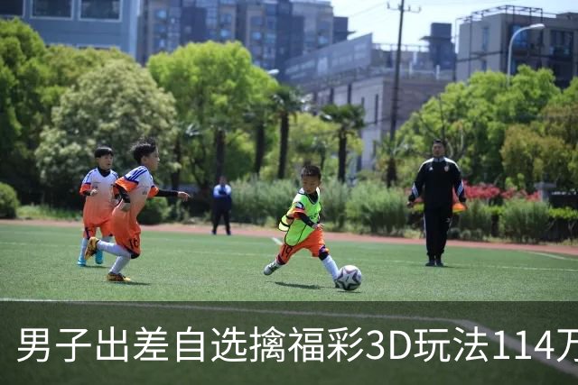 男子出差自选擒福彩3D玩法114万 随心情倍投-票