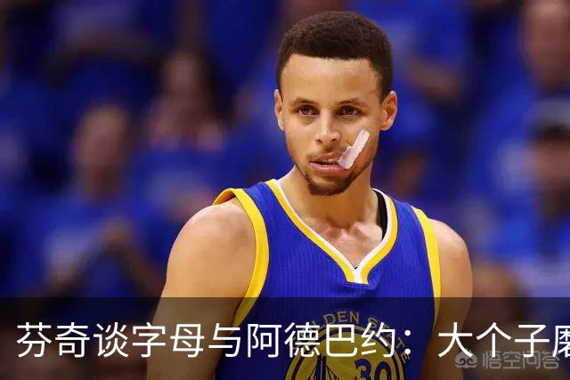 芬奇谈字母与阿德巴约：大个子磨合更需空间理解 这需要时间