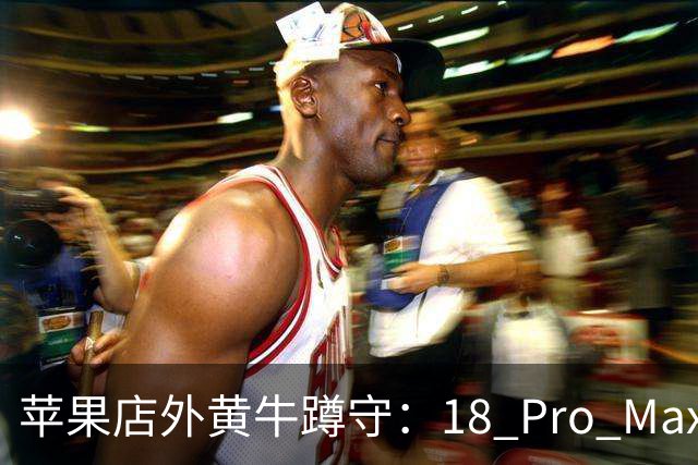 苹果店外黄牛蹲守：18 Pro Max加价500，18 Pro遭冷落