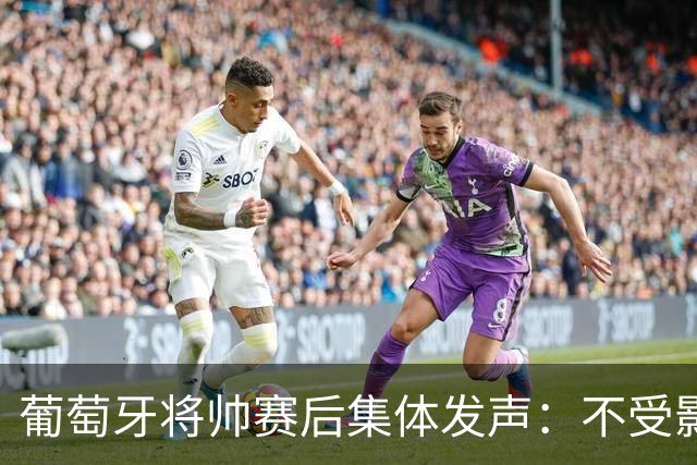 葡萄牙将帅赛后集体发声：不受影响+球队不会分裂 C罗会为赢球高兴