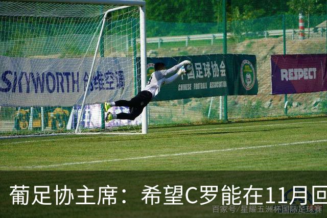 葡足协主席：希望C罗能在11月回归国家队，所有人都期待再次团聚