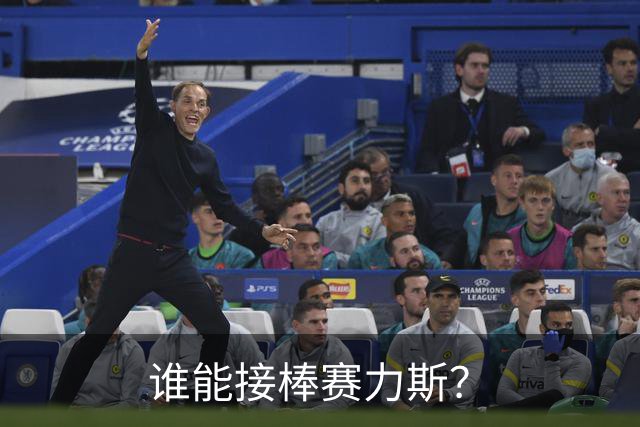谁能接棒赛力斯？