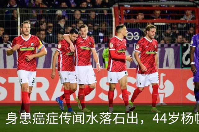 身患癌症传闻水落石出，44岁杨帆现状曝光，早已走上了另一条大道