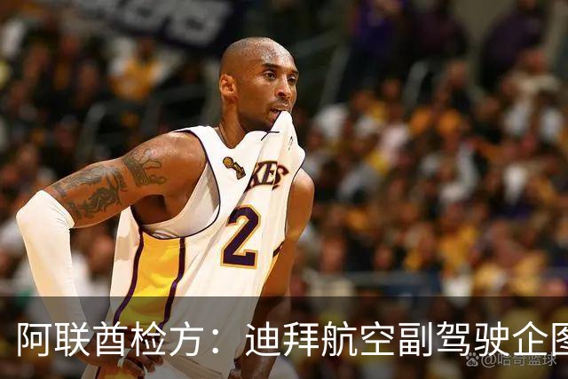 阿联酋检方：迪拜航空副驾驶企图驾机实施自杀式袭击