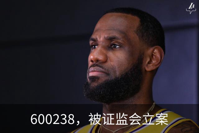 600238，被证监会立案