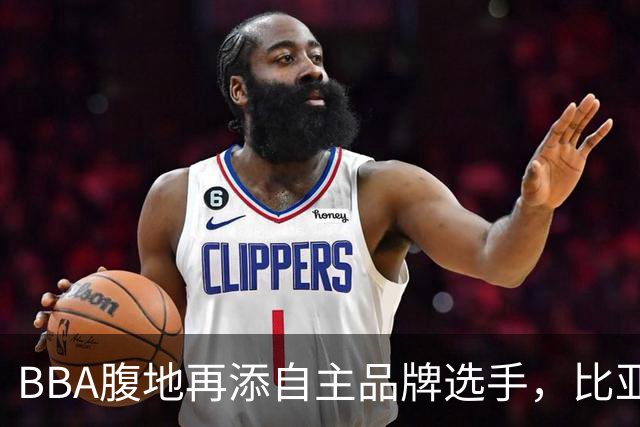 BBA腹地再添自主品牌选手，比亚迪大汉搅动中大型轿车竞争格局